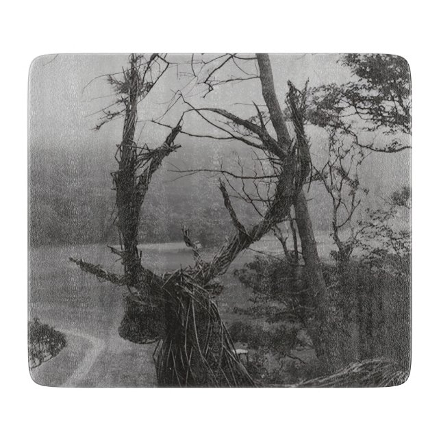Isle of Mull, Inner Hebrides, Skottland (Framsidan)