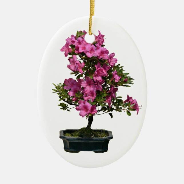 Isolerad bonsai rhododendron-blomning julgransprydnad keramik (Framsidan)