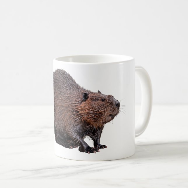 Isolerad nordamerikansk Beaver Kaffemugg (Framsida höger)