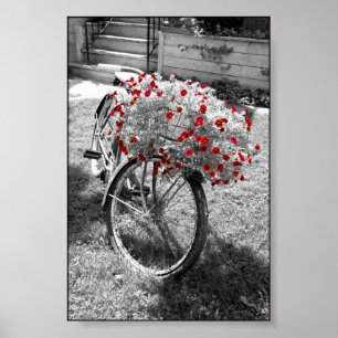 Isolerad Red Färg Flowers Black and White Bicycle Poster