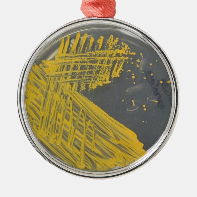 Isolering görar strimmig av bakterier julgransprydnad metall (Framsidan)