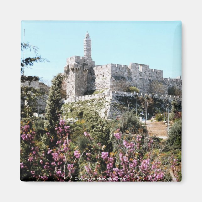 Israel 22 magnet (Framsidan)