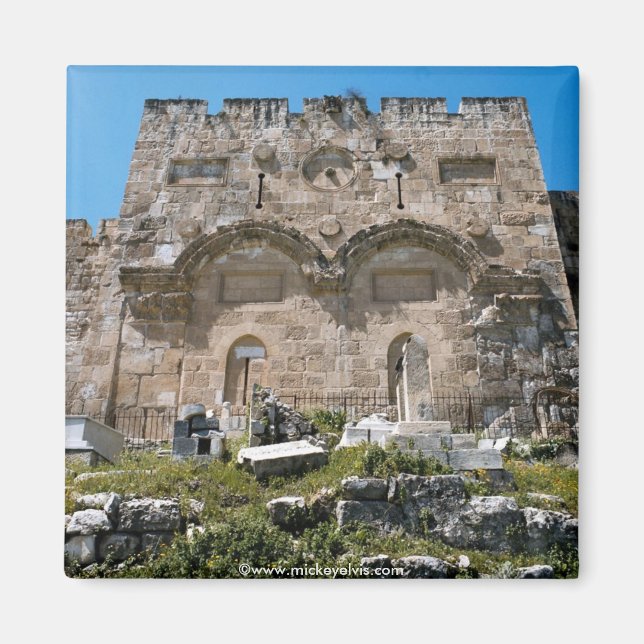 Israel 43 magnet (Framsidan)