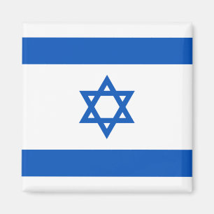 Israel flaggamagnet magnet