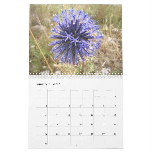 israel kalender (Jan 2027)