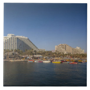 Israel, Negev, Eilat, Röda havet Kakelplatta