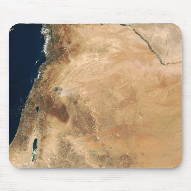 Israels landområden längs östrans kust musmatta (Framsidan)