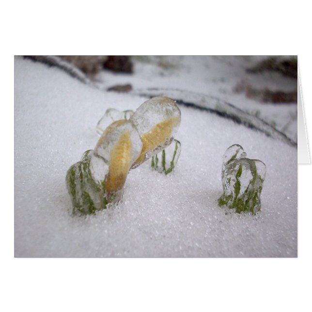 Isstorm 2003 hälsningskort (Framsidan Horizontal)