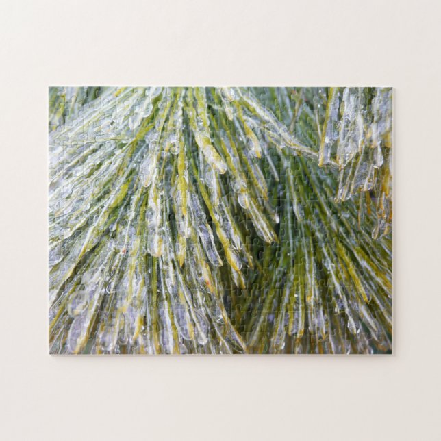 Istäckta tallbarrar Vinter Botanisk Pussel (Horisontell)