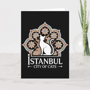 Istanbul Stad Av Katter Turkiskt Kulturarv Hagia S Kort
