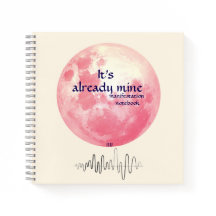 IT:n är redan min: Visionsnämnden Journal