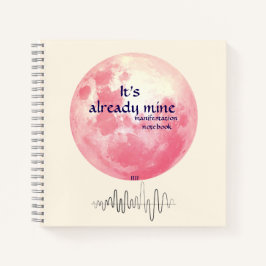 IT:n är redan min: Visionsnämnden Journal