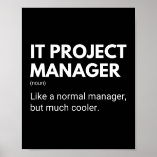 IT Project Manager Funny Managers som betalar Poster