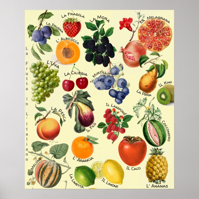 Italian Fruit Language Chart  Poster (Framsidan)
