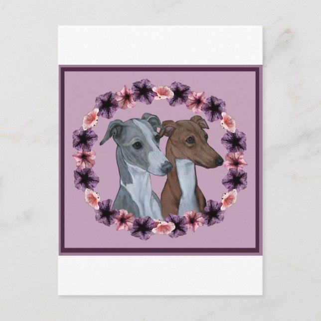ITALIAN GREYHOUND DUO VYKORT (Framsida)