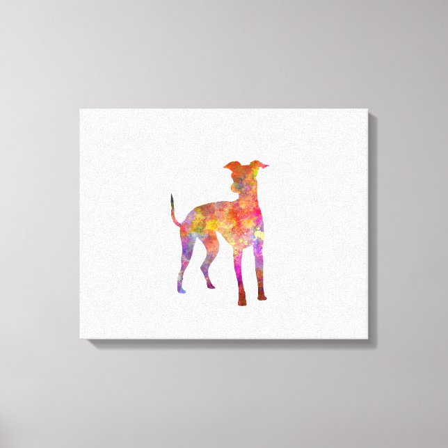 Italian Greyhound in watercolor Canvastryck (Framsida)