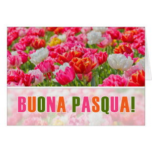 ITALIAN Påsk Joyeuses Paques Rosa Tulip Garden Hälsningskort