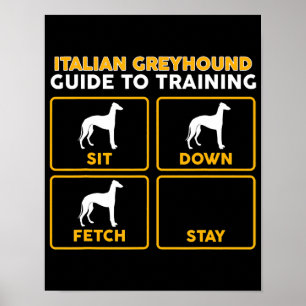 italiansk greyhound-guide för utbildning poster