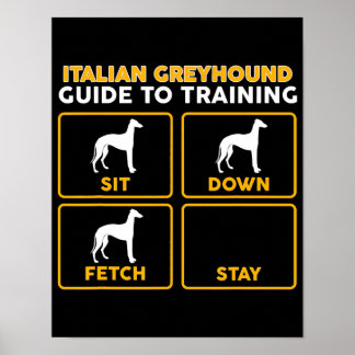 italiansk greyhound-guide för utbildning poster