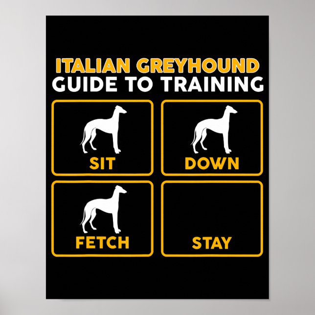 italiansk greyhound-guide för utbildning poster (Framsidan)