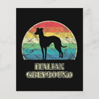 italiansk greyhound-hund