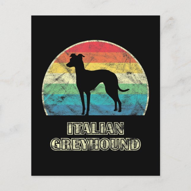 italiansk greyhound-hund (Framsida)