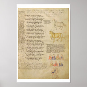 Italien 87 fol.171 Sida som illustrerar astrologis Poster