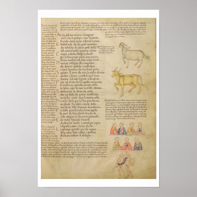 Italien 87 fol.171 Sida som illustrerar astrologis Poster (Framsidan)
