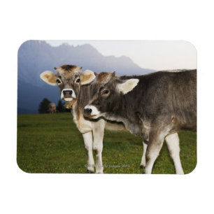 Italien alt- Adige Magnet