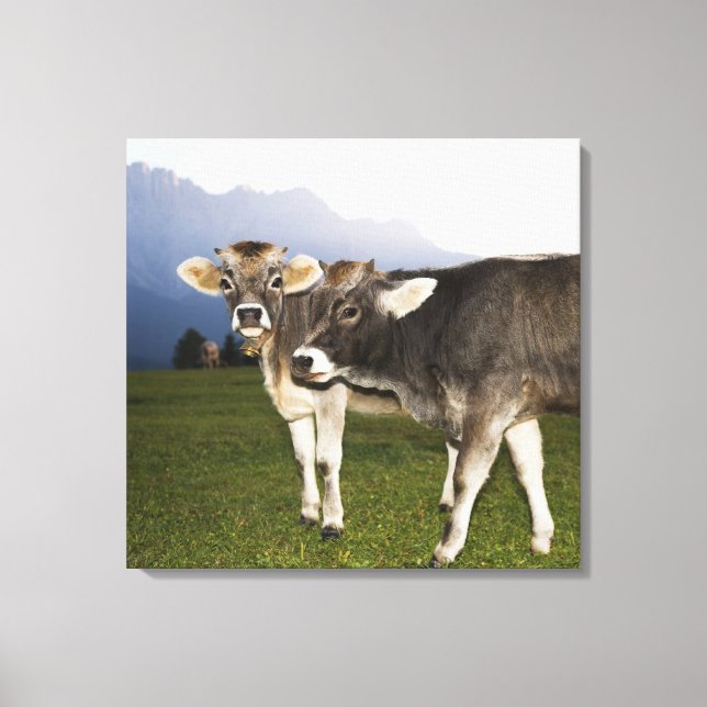 Italien, Alto Adige Canvastryck (Framsida)