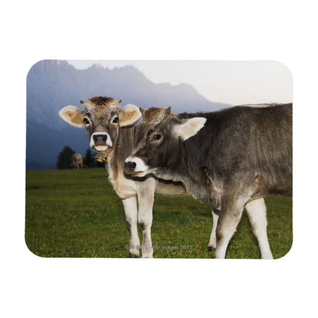 Italien, Alto Adige Magnet (Horisontell)