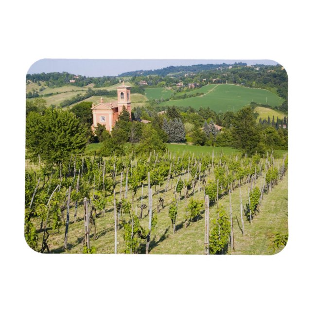 Italien, Bologna, Vy genom Vineyard till Chiesa Magnet (Horisontell)