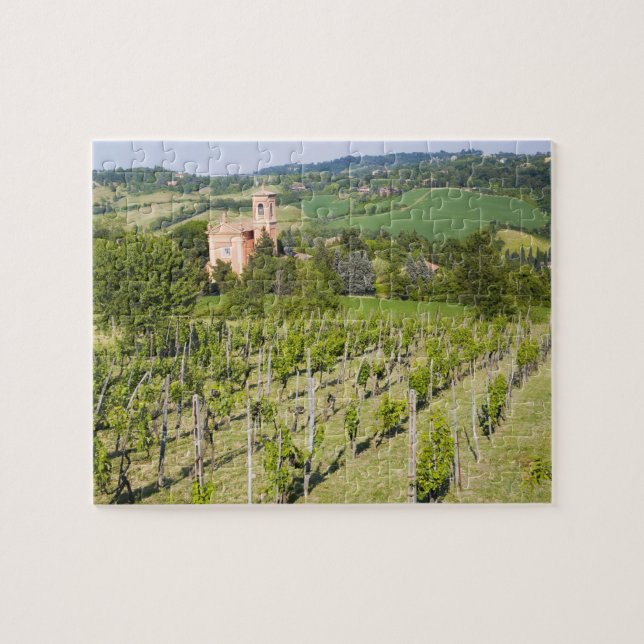 Italien bolognaen, beskådar till och med vingård pussel (Horisontell)