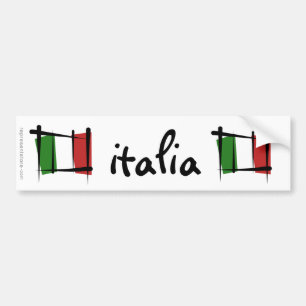 Italien borstar flagga bildekal