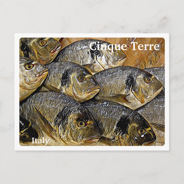 Italien CINQUE TERRE - Havsbraxfisk - Vykort (Framsida)