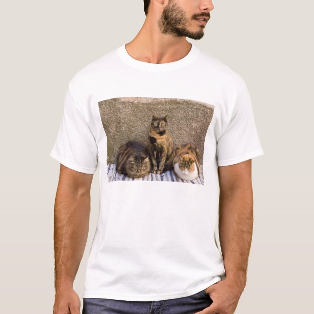 Italien, Cinque Terre, Vernazza. Tre katter T-shirt (Framsida)
