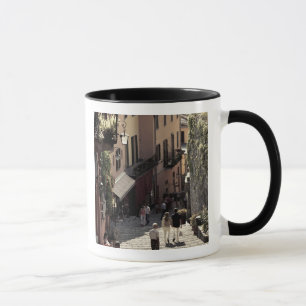 Italien, Como Province, Bellagio. Salita 2 Mugg