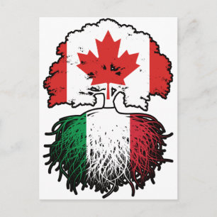 Italien Italiensk Kanadensare Kanada Träd Rötter F Vykort