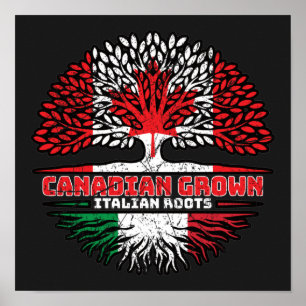 Italien Italienska Kanadas Träd Roots Flagga Poster