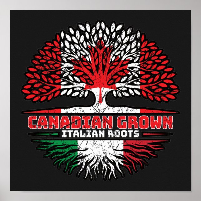 Italien Italienska Kanadas Träd Roots Flagga Poster (Framsidan)