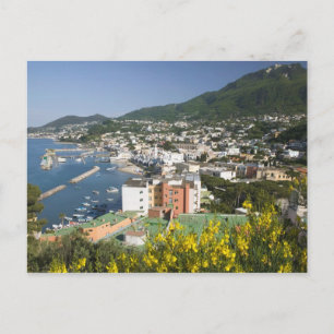 ITALIEN, Kampanien, (Napelbukten), ISCHIA, LACCO Vykort