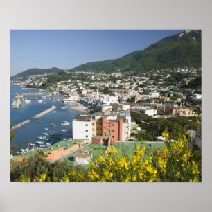 ITALIEN, Kampanien (Neapelbukten), ISCHIA, LACCO Poster