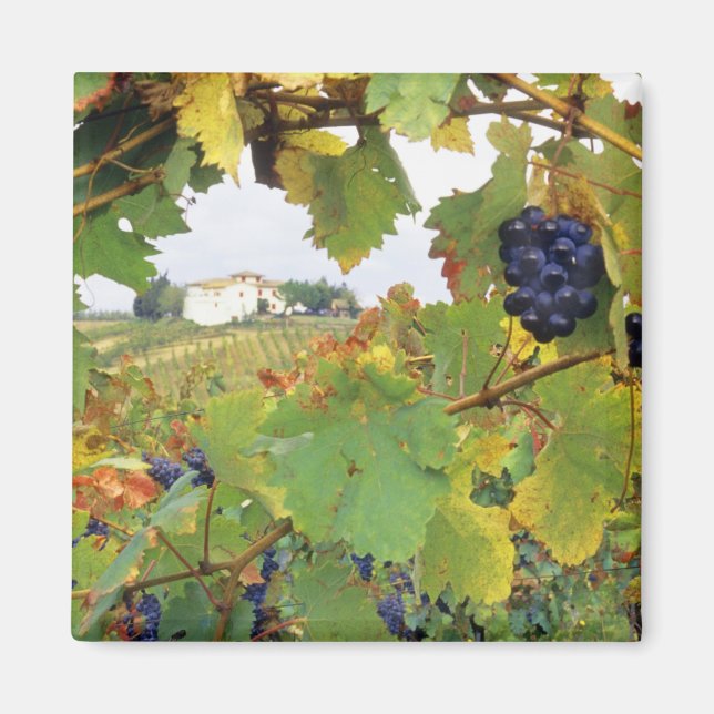 Italien, lantgård i Toscana sedd genom Magnet (Framsidan)