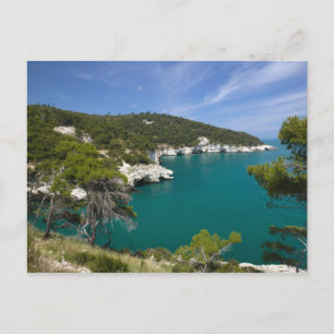 Italien, Puglia, Promontorio del Gargano, Testa Vykort