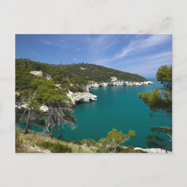 Italien, Puglia, Promontorio del Gargano, Testa Vykort (Framsida)