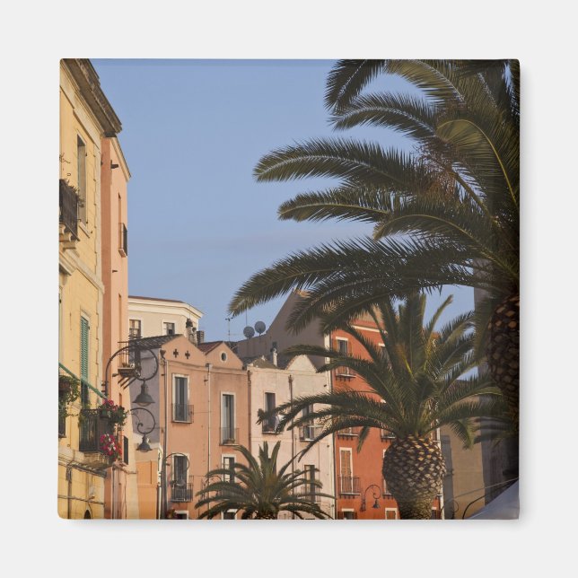 Italien, Sardinien, Cagliari. Byggnader och palmer Magnet (Framsidan)