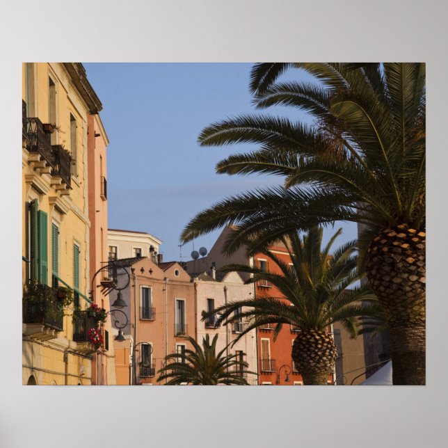 Italien, Sardinien, Cagliari. Byggnader och palmer Poster (Framsidan)