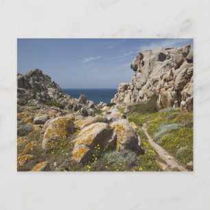 Italien, Sardinien, Santa Teresa Gallura. Capo 2 Helg Vykort
