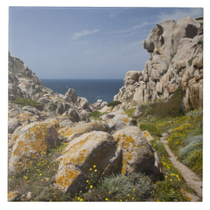 Italien, Sardinien, Santa Teresa Gallura. Capo 2 Kakelplatta