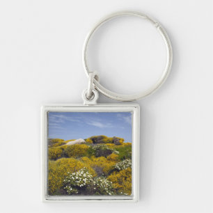 Italien, Sardinien, Santa Teresa Gallura. Capo 3 Fyrkantig Silverfärgad Nyckelring